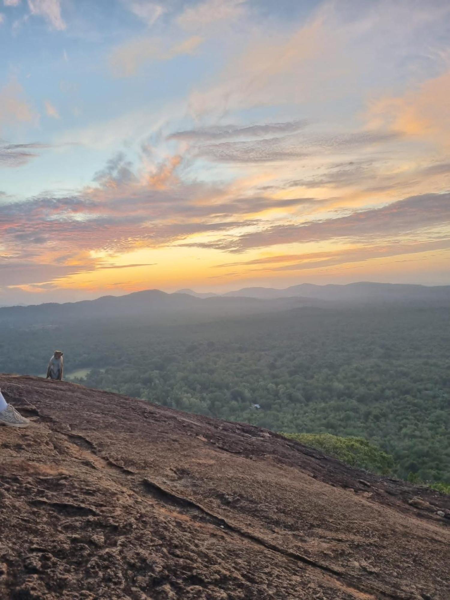 Sunrise Cottage Sigiriya Luaran gambar